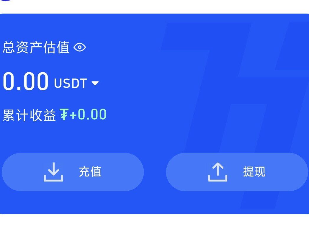 THPay免KYC虚拟U卡评测：费用低但支付场景有限？实测分析