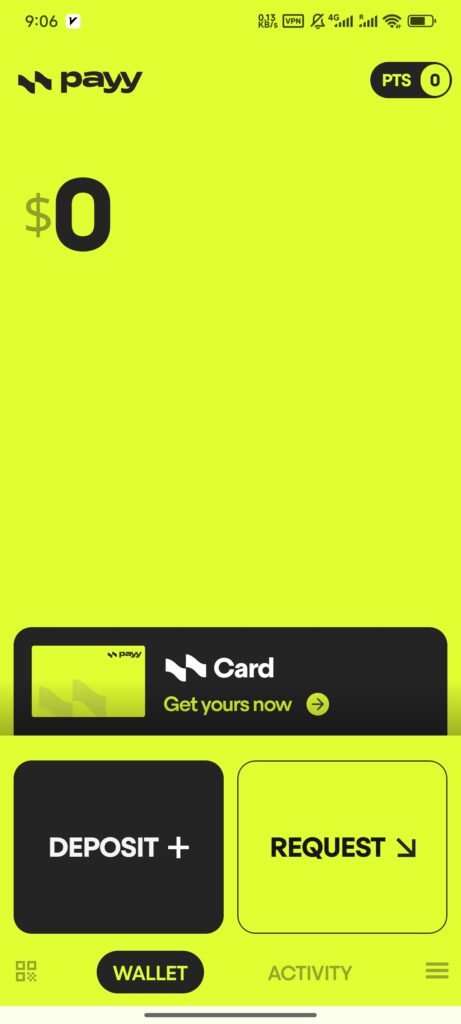 VirtualCardx article illustration: payymain-461x1024