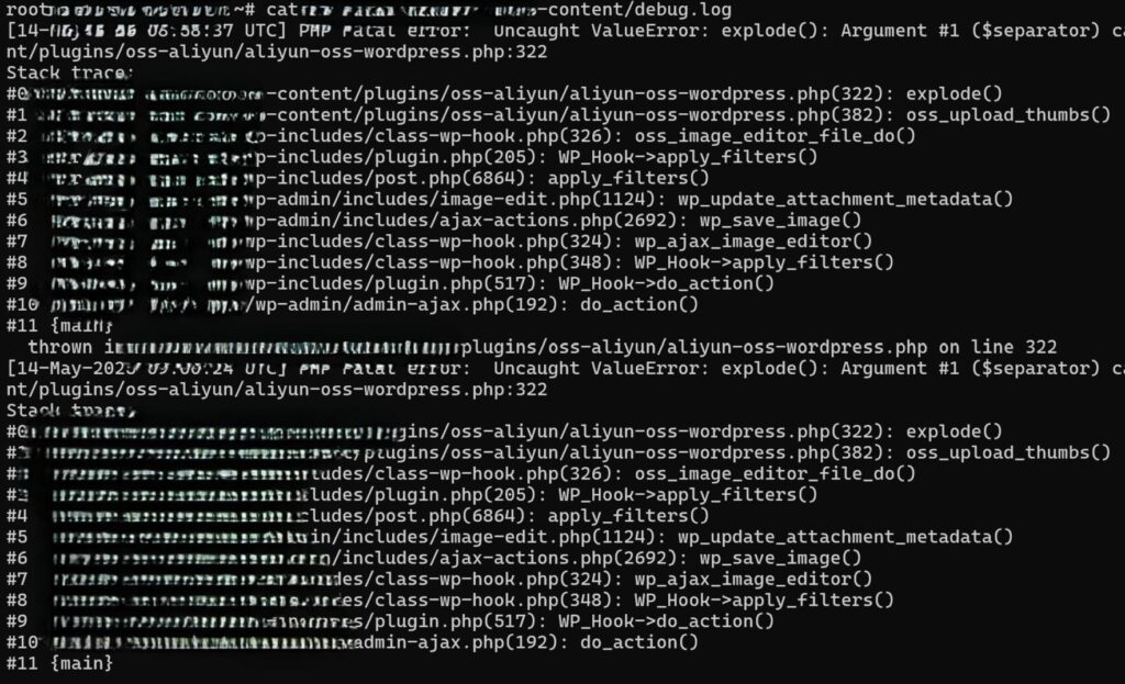 wordpressdebug scaled e1747232149910